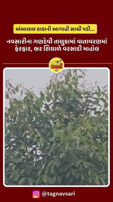 નવસારીના ગણદેવી તાલુકામાં વાતાવરણ ફેરફાર, ભર શિયાળે વરસાદી માહોલ....
#navsari #navsarinews #tagnavsari #gujaratnews