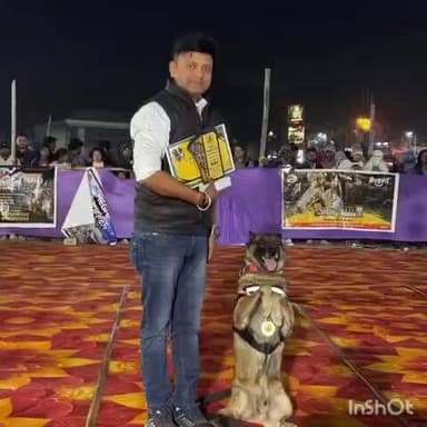 कोरबा: चंद घंटों में अंधे कत्ल का खुलासा करने वाला ‘बाघा’ बना कोरबा का गौरव, कोरबा पुलिस के खोजी डॉग ने फिर साबित किया