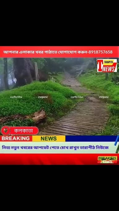 🌦️ আজকের আবহাওয়া আপডেট 🌦️
📅 ১৪ই জানুয়ারি ২০২৬, বুধবার
আজ সারাদিন আকাশ আংশিক মেঘলা থাকার সম্ভাবনা। সকালে ও সন্ধ্যায় হা...