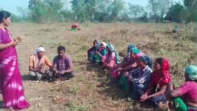 સાગબારા: નર્મદા જિલ્લામાં કલસ્ટર બેઝ પ્રાકૃતિક કૃષિની તાલીમો યોજાઈ.