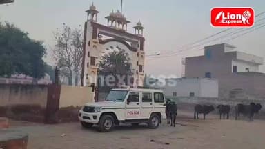 बीकानेर के लूणकरणसर से खबर
ब्रह्माणी मंदिर में चोरी
पूरी खबर कमेंट बॉक्स में 👇🏻
#bikaner #बीकानेर #bikanernews