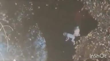 कुक्षी: ग्राम कुडूझेता में खेत के कुएं में मिला 8 महीने की बच्ची का भ्रूण, पुलिस ने पोस्टमार्टम कराकर किया अंतिम संस्कार