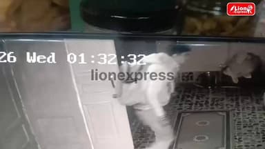 लूणकरणसर में एक ही रात में दो मंदिरों में हुई चोरी, पुलिस ने किया मौका मुआयना, सीसीटीवी कैमरे में कैद हुई वारदात
#bikane...