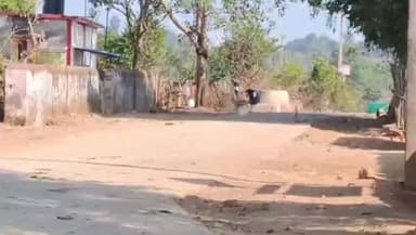 डिंडौरी: प्राथमिक शाला देवरगढ़ में छात्राएं लगा रही हैं झाड़ू, वीडियो हुआ वायरल