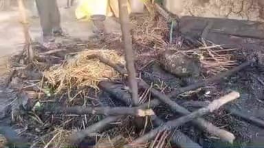 कोरांव: रत्योरा करपिया गांव में छप्पर में आग लगने से पांच बकरियों की मौत, आग बुझाते समय युवक झुलसा, बाइक और गाय बछिया भी जली