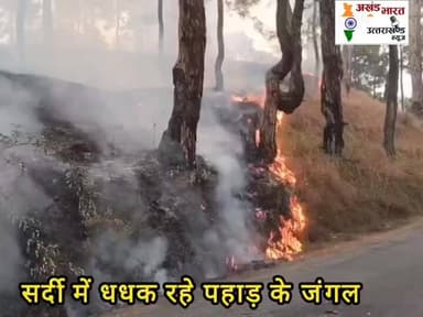 Akhand Bharat News : #जंगल में आग: #सर्दी में #अल्मोड़ा जिले के #हवालबाग ब्लॉक में #मेहला गांव का जंगल जल रहा। ऐसे वीडि...
