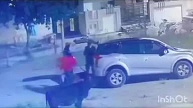 उमरी: आलिशान कारमधून गायी नेल्या चोरून, घटना सिसीटीव्हीमध्ये कैद, उमरी पोलिसात गुन्हा नोंद