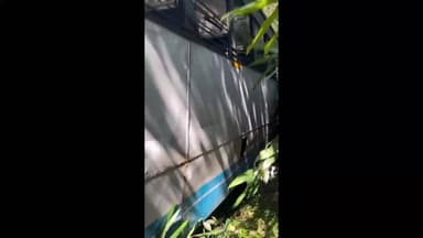 തൊടുപുഴ: വണ്ണപ്പുറം ചേലച്ചുവട് റോഡിൽ നാൽപ്പതേക്കറിന് സമീപം കെഎസ്ആർടിസി ബസ് അപകടത്തിൽപെട്ടു, ഒഴിവായത് വൻ ദുരന്തം