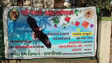 નાંદોદ: નર્મદા જિલ્લા ફોરેસ્ટ વિભાગ દ્વારા પક્ષી બચાવ કરુણા અભિયાન ની શરૂઆત કરવામાં આવી છે હેલ્પ ગ્રૂપ રાજપીપલા - 9825377403