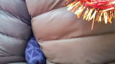 #लालकुआं #उत्तरायणी मेले की #शोभायात्रा LIVE...