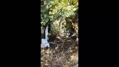 हिंगणा: गणेश कॉलनी परिसरात नायलॉन मांजा मध्ये अडकलेल्या बगळ्याला दिले जीवनदान