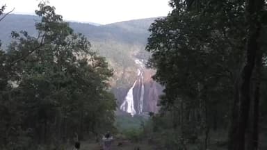 ଯଶିପୁର: ଶିମିଳିପାଳ ଅଭୟାରଣ୍ୟରେ ଆଜି ପୁଣି ତାପମାତ୍ରା ସର୍ବନିମ୍ନ ୧ ଡ଼ିଗ୍ରୀ ସେଲସିୟସ ରେକର୍ଡ ନେଇ RCCF ଦେଲେ ସୂଚନା