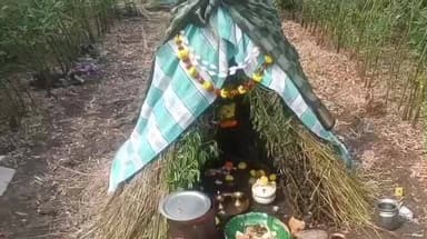 బిచ్కుంద: మిషన్ కల్లాలిలో మకర సంక్రాంతి వేడుకలు, పంట పొలాల్లో సంక్రాంతి సంబరాలు, వనభోజన వేడుకలు