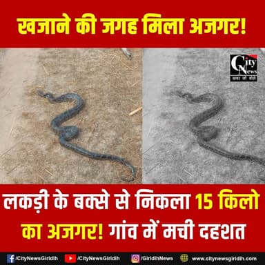 गिरिडीह में ‘खजाने’ की जगह निकला अजगर, गांव में मचा हड़कंप
#GiridihNews #Giridih #Devri #Azgar #Snake