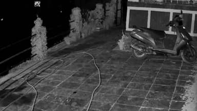 कियाणी पंचायत के बगोड़ी गांव में पालतू कुत्ते का शिकार करने के लिए घर में घुसा तेंदुआ, लोगों में दहशत का माहौल