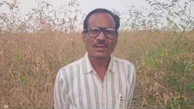 मंगरूळपीर: कृषी अधिकाऱ्याची शेतकऱ्याला मारहाण या व्हायरल व्हिडिओ संबंधी तालुका कृषी अधिकारी सचिन कांबळे यांनी दिले स्पष्टीकरण