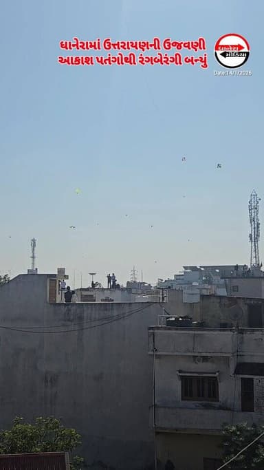 ધાનેરાના સમાચારો અને માહિતી માટે ફોલો કરો..@dhaneramedia
.
.
#uttarayan #patangbazi #dhanera_city #dhanera #banaskantha