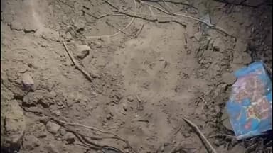 बसवा: बांदीकुई के वन विभाग कार्यालय के पास लेपर्ड की आवाजाही से स्थानीय लोगों में दहशत फैल गई