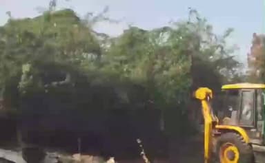 గద్వాల్: అలంపూర్ మున్సిపాలిటీ కేంద్రంలోని సొంత ఖర్చులతో కంప చెట్లను తొలగించిన కాంగ్రెస్ నేతలు