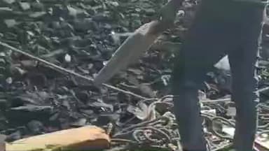 चिचोली: चिचोली थाना क्षेत्र के कउ नाला गांव के पास कोयले से भरा ट्रक पलटा, ड्राइवर-क्लीनर घायल