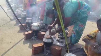 சின்ன சேலம்: வடக்கனந்தலில் ஒரே கிராமமே ஒரே இடத்தில் சேர்ந்து பொங்கல் வைத்து சமத்துவ பொங்கல் விழா கொண்டாட்டம்