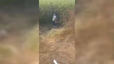 खकनार: रफ़्तार का कहर! बुरहानपुर-जसोंदी मार्ग पर अनियंत्रित बाइक खेत में घुसी, युवक गंभीर घायल, वीडियो वायरल