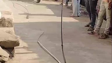 खकनार: मकर संक्रांति पर चाइना मांझा बना मौत का फंदा, हाई वोल्टेज लाइन टूटी, बड़ा हादसा टला