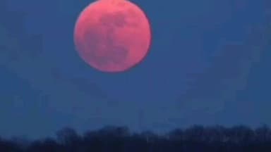 मुर्तीजापूर: अकोल्यात किमान तापमान १५.४ अंशांवर; थंडीत किंचित घट