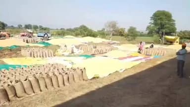 पनागर: धान उपार्जन में अनियमितता मिलने पर पनागर, कुंडम सहित 5 प्रबंधकों व ऑपरेटरों के खिलाफ कार्यवाही का प्रस्ताव