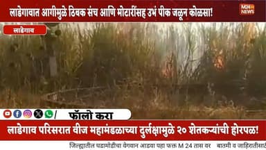 लाडेगावात शॉर्टसर्किटमुळे १८ एकर ऊस खाक