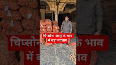 पुराने चिप्सोना आलू के भाव में हुआ बड़ा बदलाव चकरपुर मंडी कानपुर में 13 जनवरी 2026 || Aalu Ka Bhav