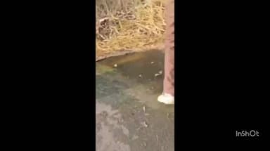 പത്തനാപുരം: കാവൽ പുരയിൽ വാഹനപകടത്തിൽ നാലുപേർക്ക് പരിക്ക്