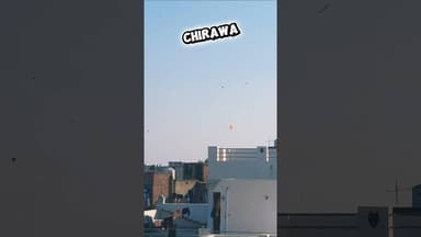 #chirawa #makarsankranti #viral #trending #spotify #patangbazi #चिड़ावा