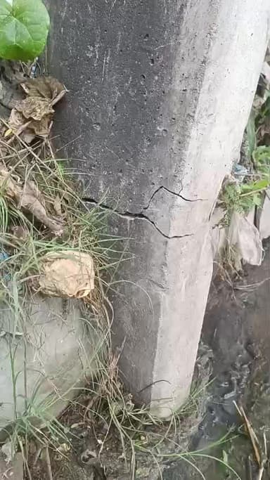 भाइयों मैं बताना चाहता हु । चांद ब्लॉक शिवरामपुर पंचायत वार्ड नंबर 13 में बिजली के पोट टूट चुका हे ।