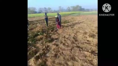 बेरो: डोरंडा पंचायत में हाथियों का आतंक, किसानों की फसलें तबाह