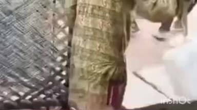 भितरवार: कमला मार्केट में इलेक्ट्रॉनिक की दुकान में घुसा सांप, हड़कंप मचा