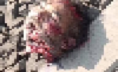 पनागर: गोसलपुर स्टेशन के पास ट्रेन से कटकर 55 वर्षीय अज्ञात व्यक्ति की मौत, पुलिस ने मर्ग कायम किया