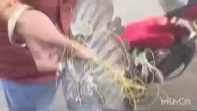 शिवगंज: शिवगंज शहर में चाइनीज मांझे से दो युवक हुए घायल, कई पक्षी भी बने शिकार