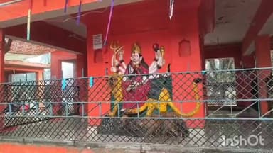 नगीना: नगीना क्षेत्र के गांव नंदपुर में धार्मिक स्थल पर मूर्तियों की परिक्रमा कर रहे कुत्ते को देखने के लिए जुट रही है भीड़