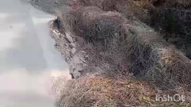 राजापाकर: राजापाकर दक्षिणी पंचायत और बैकुंठपुर की सीमा पर सड़क पुलिया धंसी, बड़ी घटना की आशंका