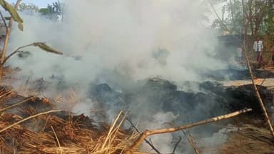 পুঞ্চা: রাজনোয়াগড় গ্রামে আগুনে ভস্মীভূত খড়ের গাদা