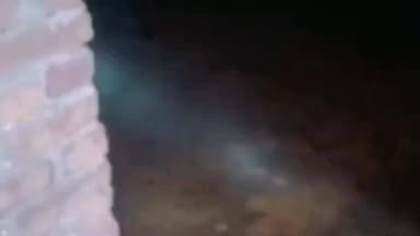 सिमरिया: जंगल से भटका हाथी फिर पहुंचा पदमपुर गांव, लोगों में दहशत