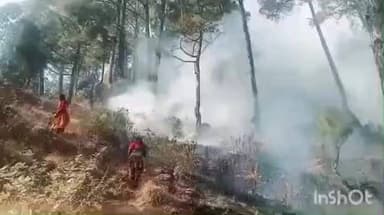 सोमेश्वर: अधूरिया वन पंचायत का धधका जंगल, हंस फायर फाइटरों की सतर्कता से टला बड़ा हादसा