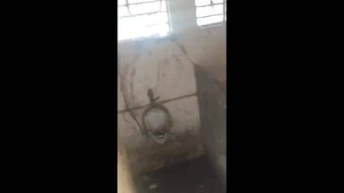 दिग्रस: नगर परिषदच अस्वच्छ; स्वच्छतागृह व कार्यालय परिसरात घाणीचे साम्राज्य, पालिकेचे दुर्लक्ष उघड