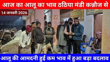 आज का आलू का भाव ठठिया मंडी कन्नौज से आलू की आमदनी हुई कम भाव में हुआ बड़ा बदलाव Aalu Ka Bhav