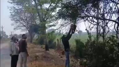 टिमरनी: सड़क सुरक्षा अभियान में पोखरनी गांव के पास दुर्घटना संभावित क्षेत्र की झाड़ियाँ कटवाई गईं