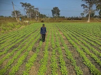 बालोद के किसानों ने बदली राह: धान की जगह दलहन-तिलहन से संवरेगा भविष्य! 🌾✨
जिला प्रशासन और कृषि विभाग बालोद के साझा प्र...