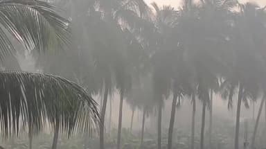 ర్యాలీ గ్రామంలో కనువిందు చేస్తున్న మంచు అందాలు