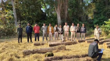 पिथौरा: पिथौरा वन परिक्षेत्र में सागौन लकड़ी जब्त, वन अपराध प्रकरण दर्ज