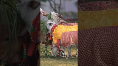 Today Breaking News। #india #hindinews #breakingnews #dlsnews #tajakhabar #topnews #viralnewstoday